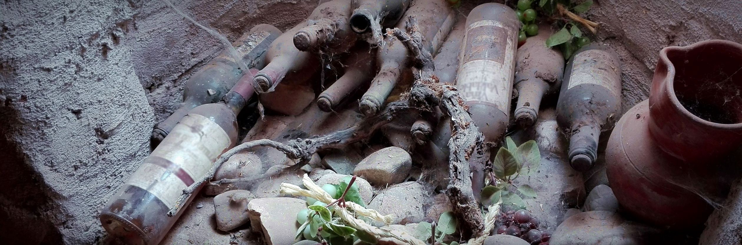 El ‘chacolí’ de la Bureba y Caderechas (Parte I)